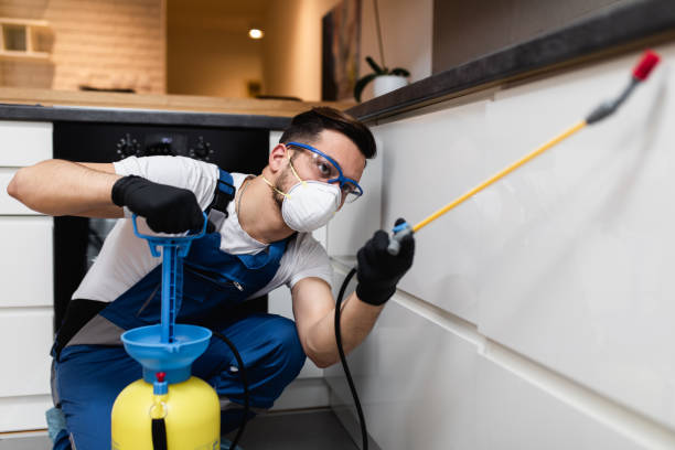 Best Pest Inspection Near Me  in Spackenkill, NY