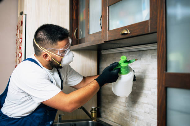 Reliable Spackenkill, NY Pest Control Solutions