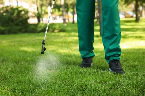 Best Flea Control Services  in Spackenkill, NY
