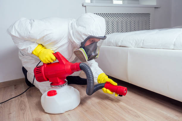 Best Termite Control Services  in Spackenkill, NY