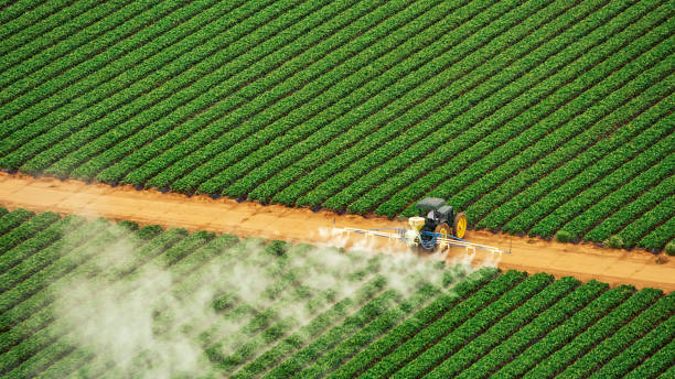 Best Pest Removal Services  in Spackenkill, NY