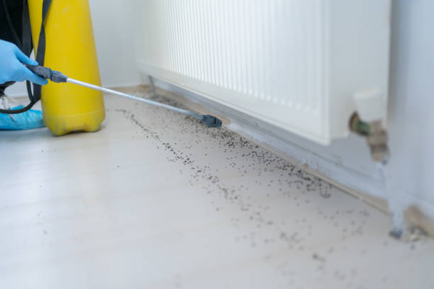 Best Local Pest Control Services  in Spackenkill, NY
