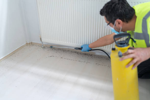 Flea Control Services in Spackenkill, NY